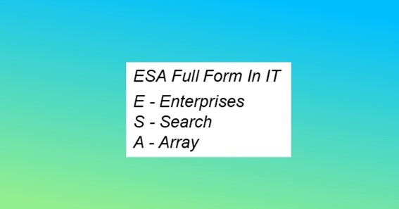ESA Full Form In IT