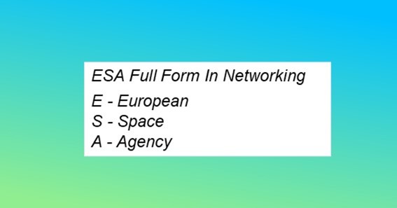 ESA Full Form In Networking