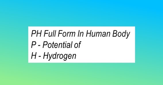 PH Full Form In Human Body 