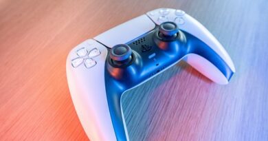 Factors to Consider When Choosing Your Next Game