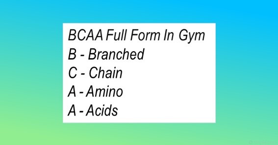BCAA Full Form In Gym
