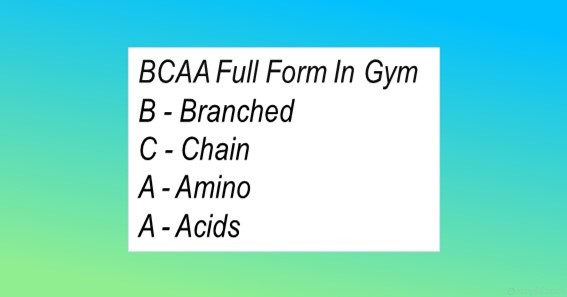 bcaa-full-form-meaning