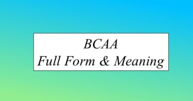 BCAA Full Form & Meaning