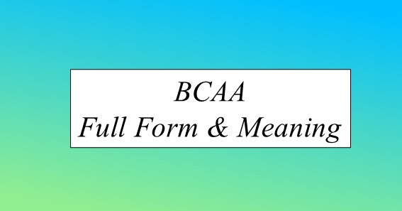 bcaa-full-form-meaning