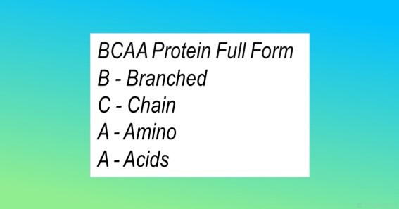 BCAA Protein Full Form