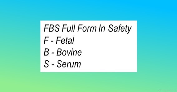 FBS Full Form In Safety