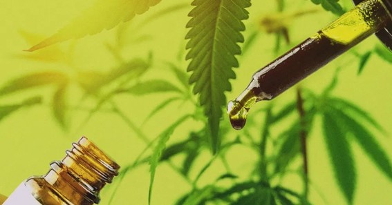 Hitting the Nail on the Head: 5 Reasons to Consider Dabbing Your CBD