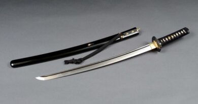 How Can You Choose the Right Katana for Sale?