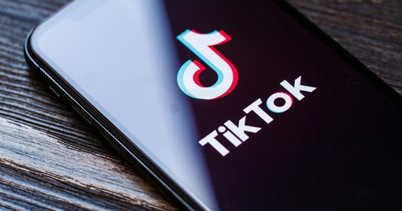 Tips To Embed Your TikTok Feeds On Your Website