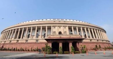 Which Are The Central committees In The Indian Constituent Assembly?