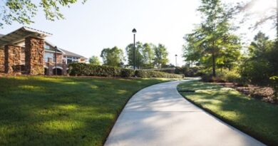 Want To Know About Topline Lawn Care & Landscaping