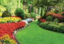 What Are People Saying About Landscaping Services In Houston, TX