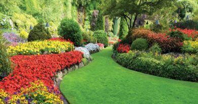 What Are People Saying About Landscaping Services In Houston, TX