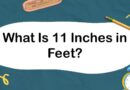 What Is 11 Inches in Feet