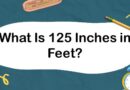 What Is 125 Inches in Feet
