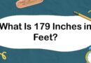 What Is 179 Inches in Feet