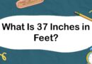 What Is 37 Inches in Feet