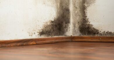 How to Get Rid of Black Mold Naturally