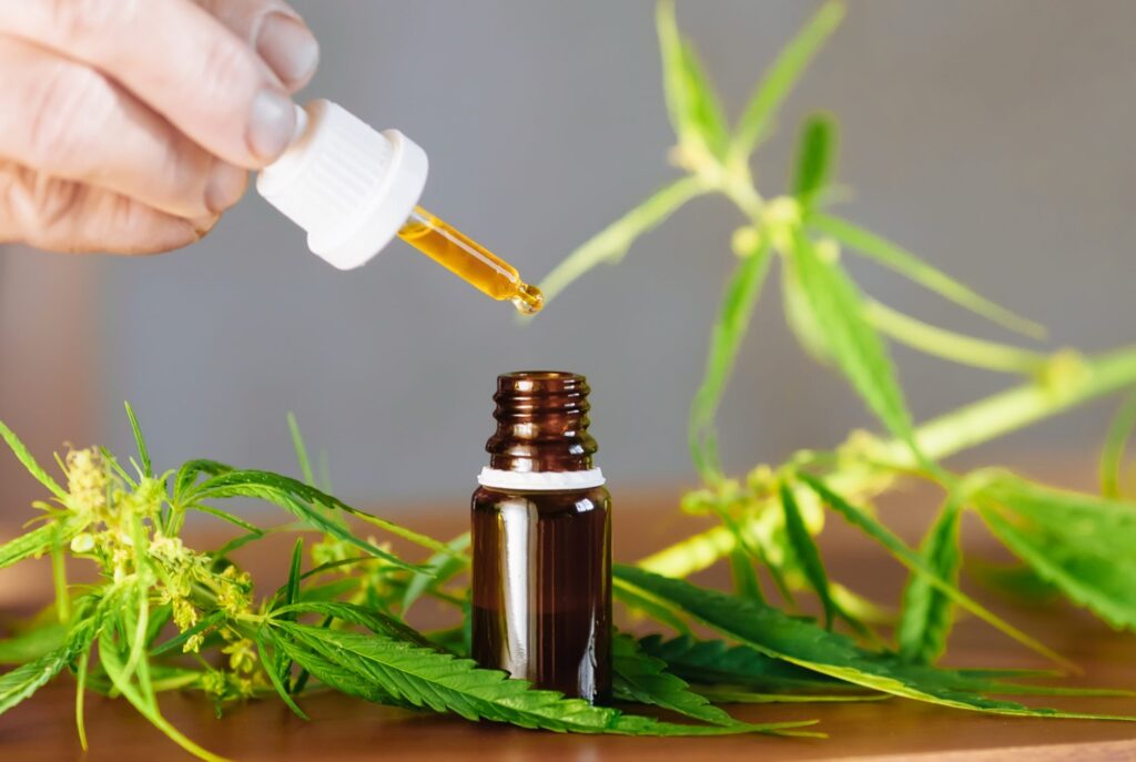 A Beginner's Guide To CBD: What It Is And How It Can Benefit You - TheSBB