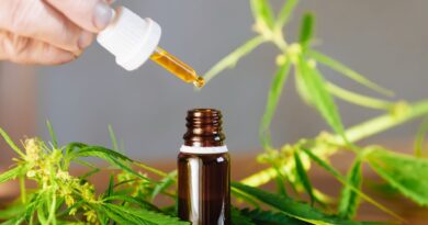 A Beginner's Guide To CBD: What It Is And How It Can Benefit You