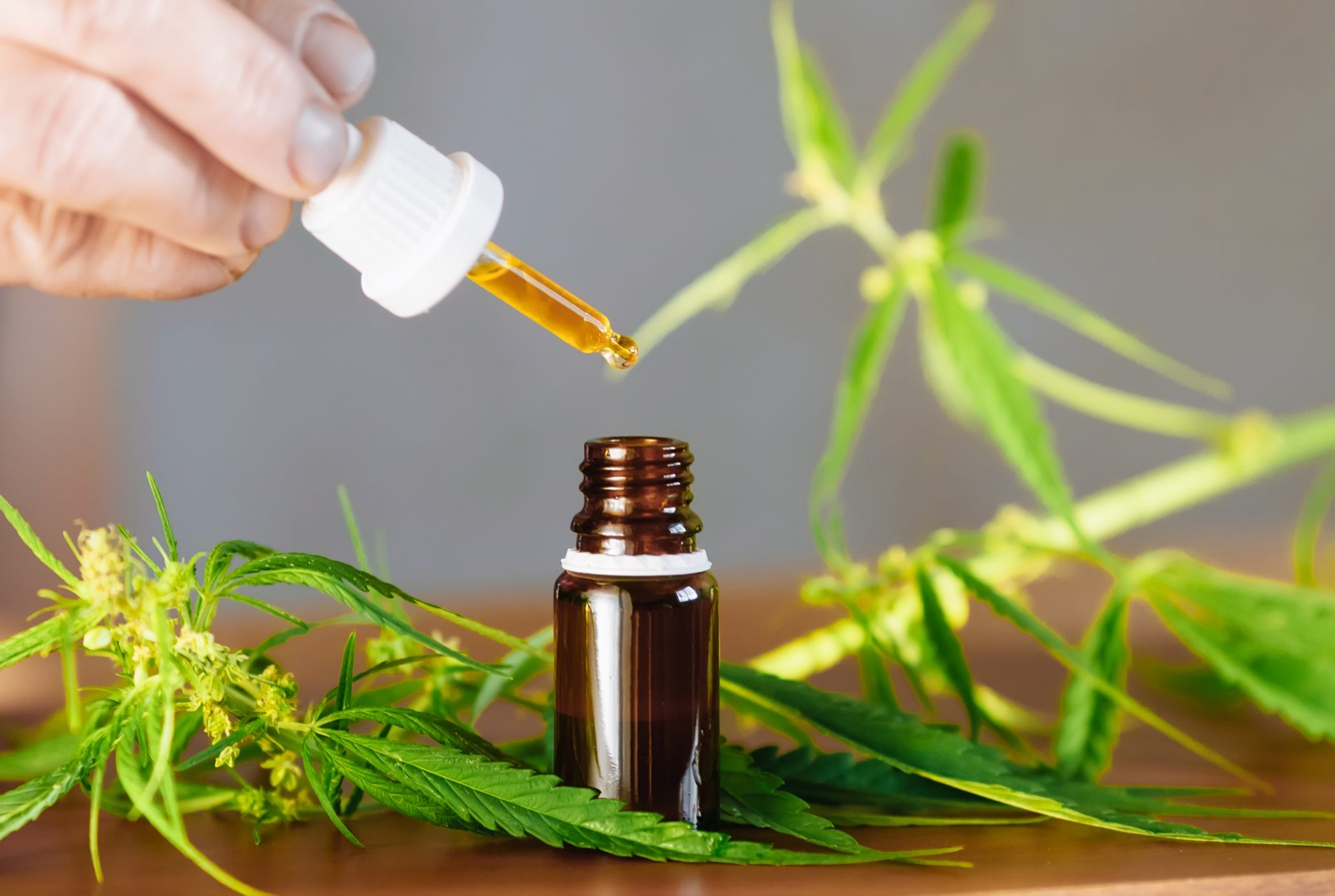 A Beginner's Guide To CBD: What It Is And How It Can Benefit You