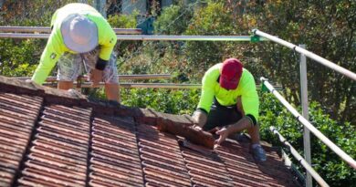 How A Professional Roof Inspection Can Save You Thousands?