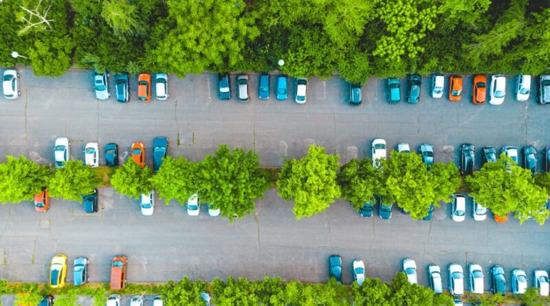 How To Choose The Best Parking Lot Trees For Your Business?