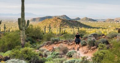 Mesa, Arizona: The Ultimate Detox Destination