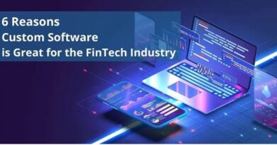 Why Custom Software Is Great For The FinTech Industry
