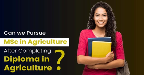 Can We Pursue MSc In Agriculture After Completing Diploma In Agriculture?