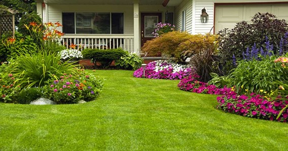 What Is Lawn Fertilizing And Lawn Renovation?