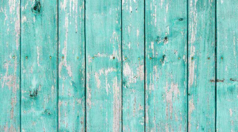 What are the 14 Common Defects in Painting?