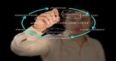 Safeguarding Your Business from Web Application Security Hazards