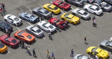 What to Look for When Attending an Online Car Auction in North Carolina