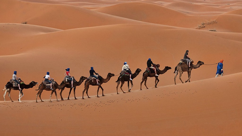 Exploring Dubai's Desert Wilderness: A Safari Adventure That You will not forget