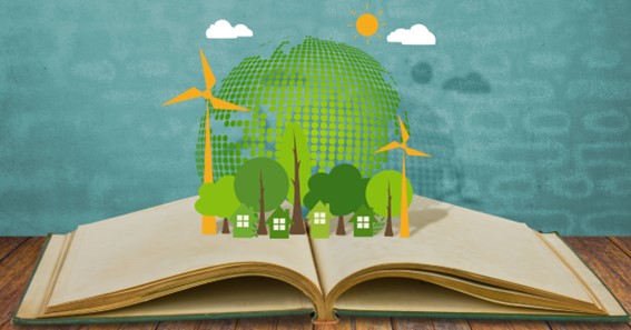 Why Should You Rent Textbooks? 5 Ecological Reasons
