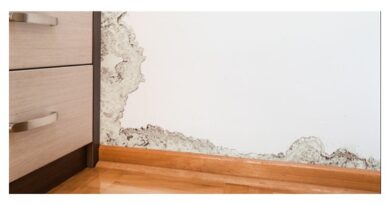 How to Detect Water Leaks in Walls