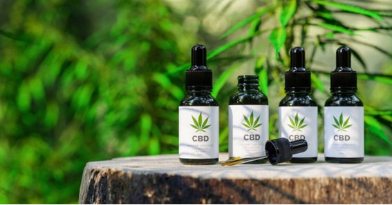 Plant-Powered Wellness: A Guide to Choosing the Best CBD Products for You