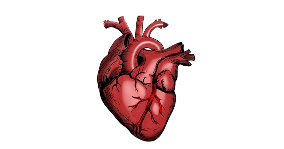 What are Cardiology Billing Services and what are the Advantages of Cardiology Billing